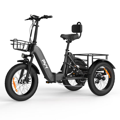 PVY F20